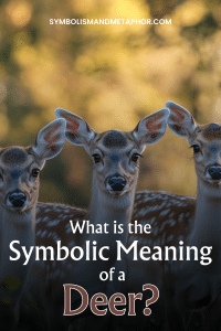 Symbolism of Deer (15 Surprising Meanings) - 2024