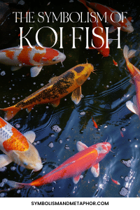 Koi Fish Symbolism (12 Top Symbols)