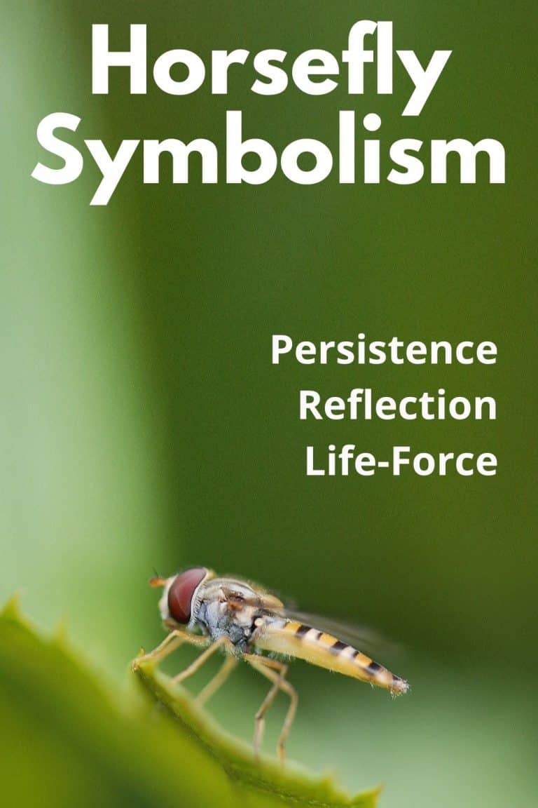 Horsefly Spiritual Meaning and Symbolism