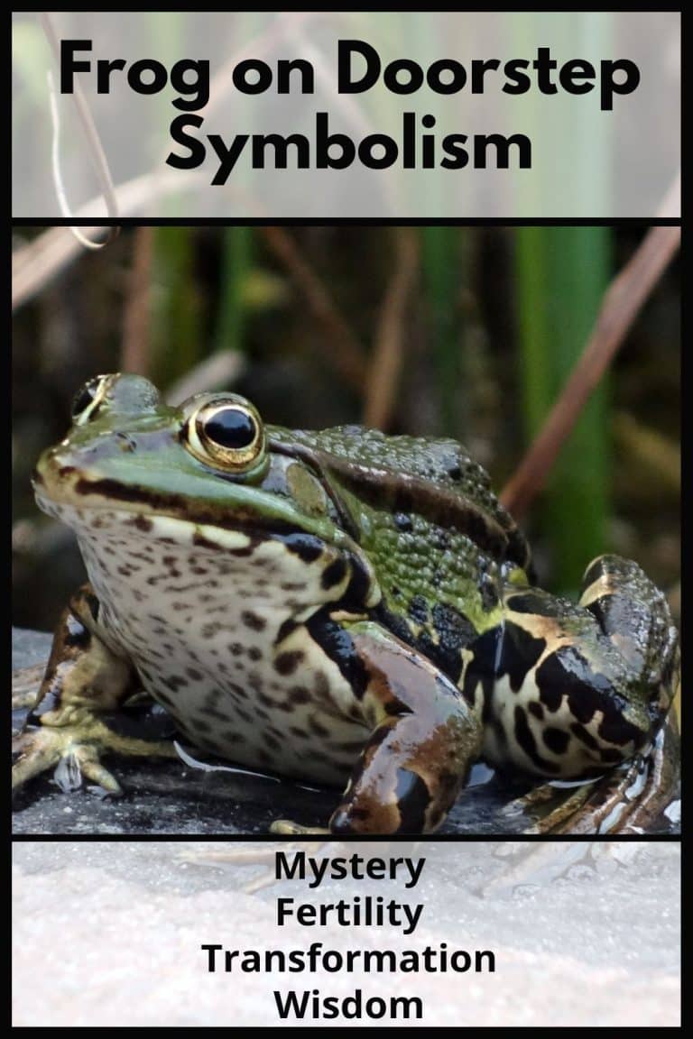 Meaning of Frog on Doorstep (Change and Purity)