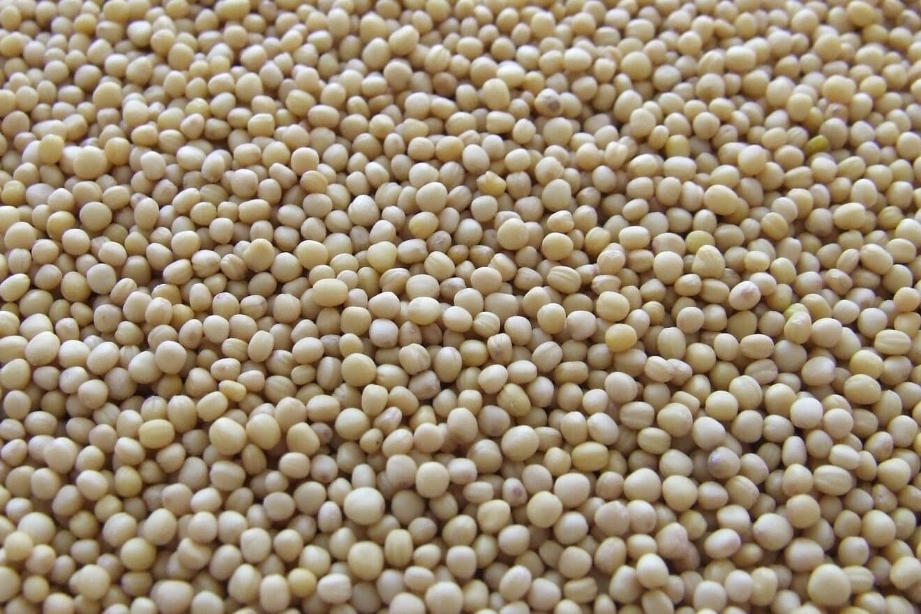 Mustard Seed Symbolism and Spiritual Meaning