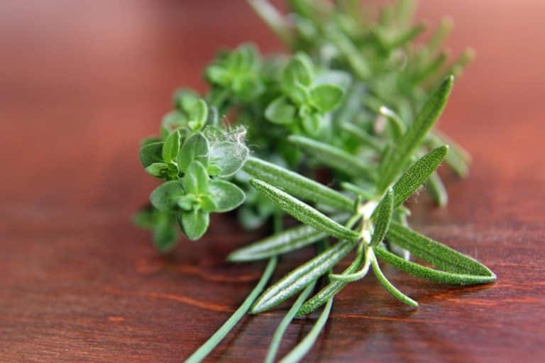 Rosemary Symbolism and Meaning (Faith and Love)