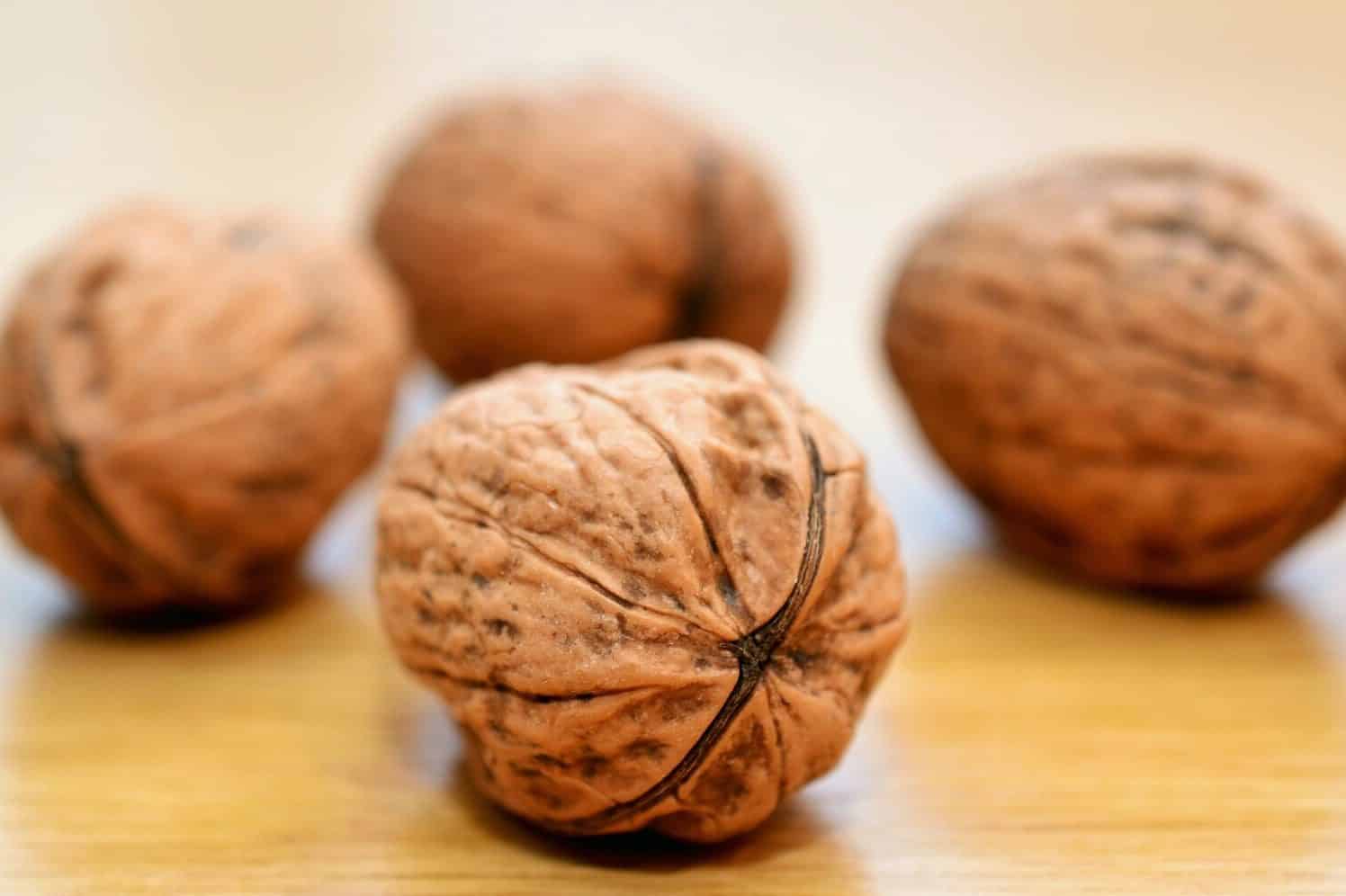 Walnut Symbolism and Meanings (Strength & Wisdom)