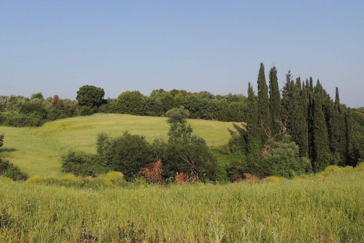 Death Symbolism (9 Top Meanings & Symbols)