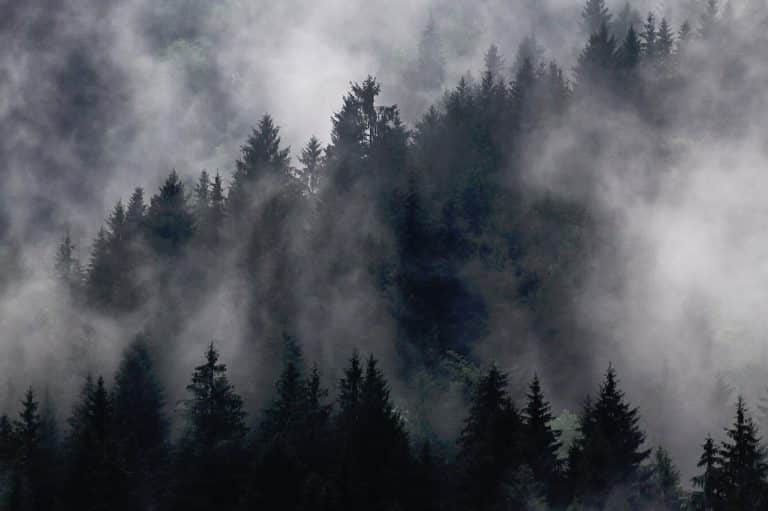 Fog Symbolism (6 Meanings in Literature and Dreams)