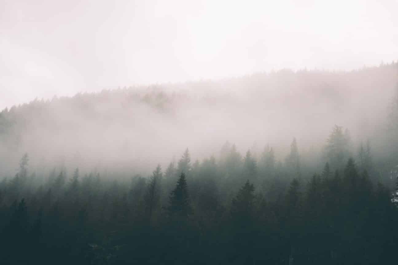 Fog Symbolism (6 Meanings in Literature and Dreams)