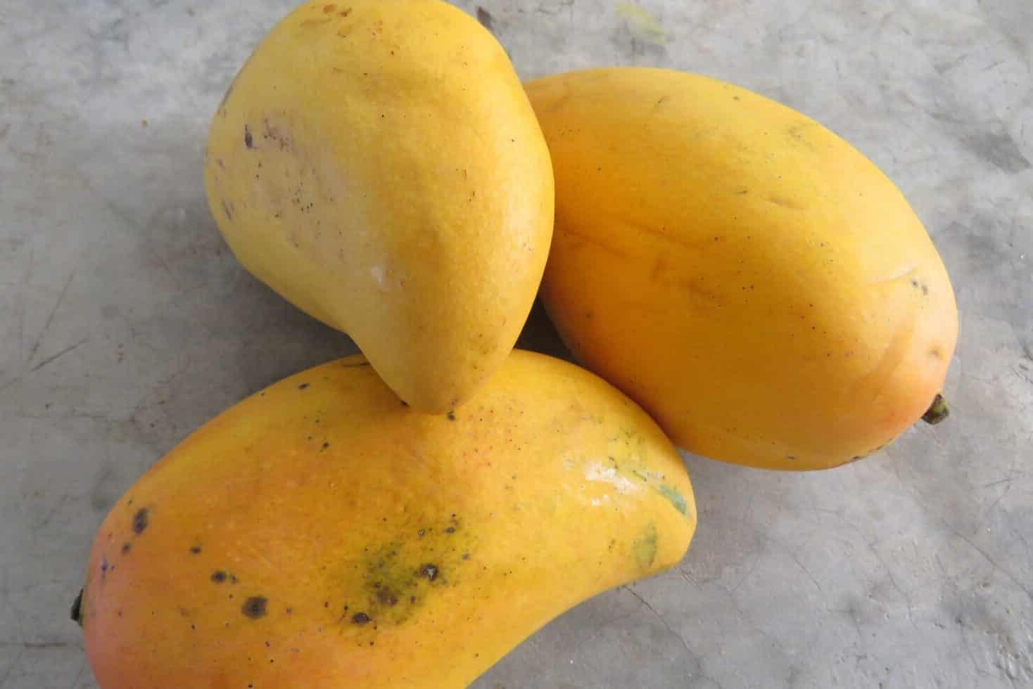 Mango Symbolism and Spiritual Meanings (Happiness and Wealth)