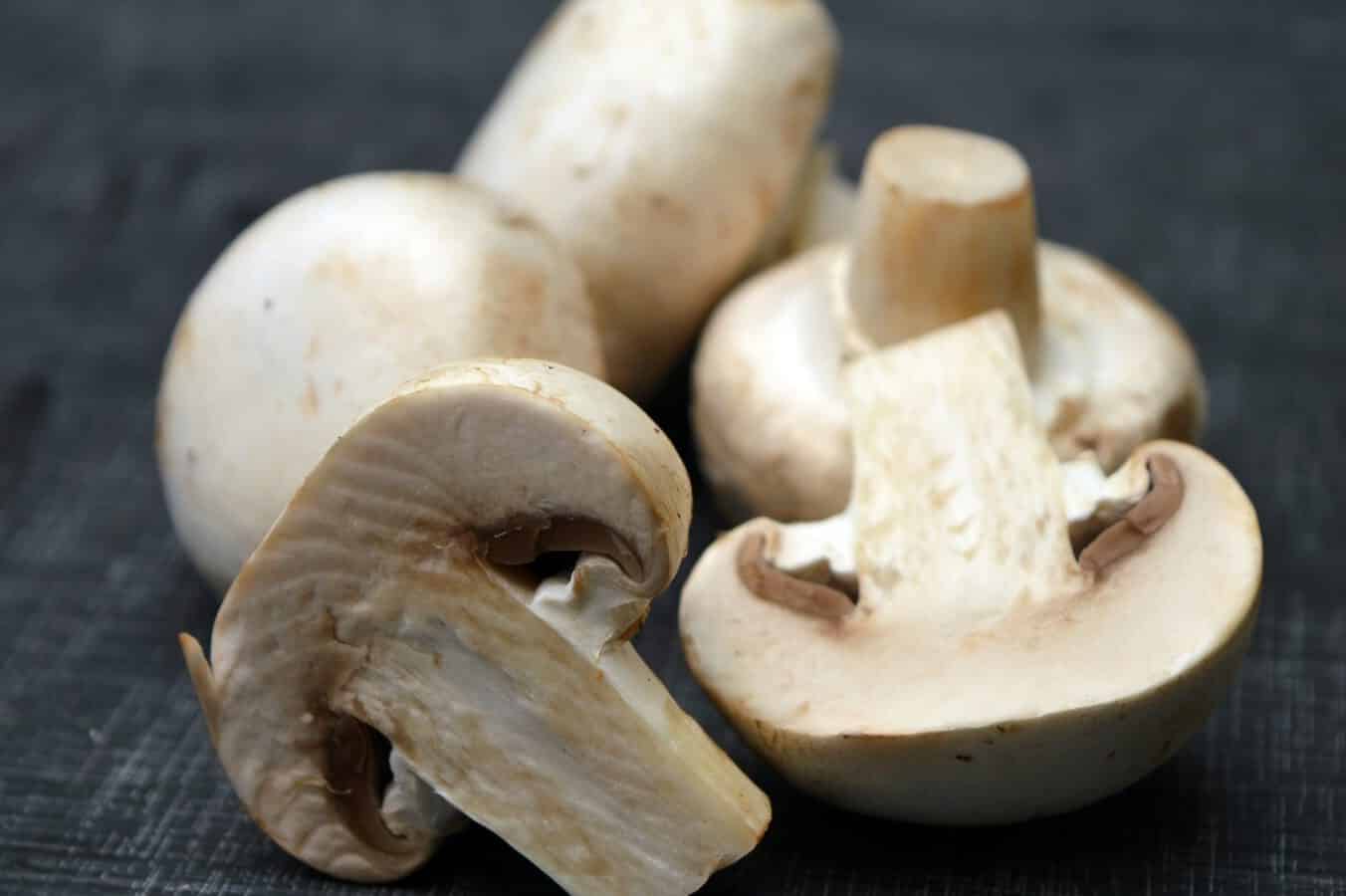 Mushrooms Symbolism and Meaning (Transformation & Health)