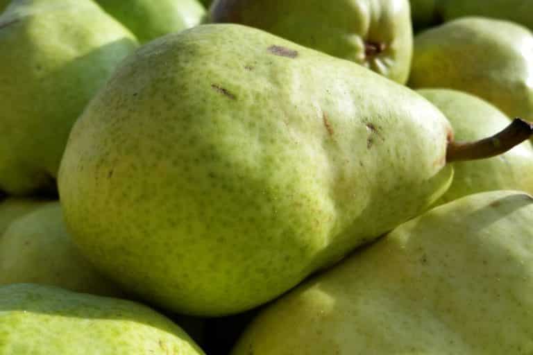 Pear Fruit Meaning and Symbolism (Fragility and Success)
