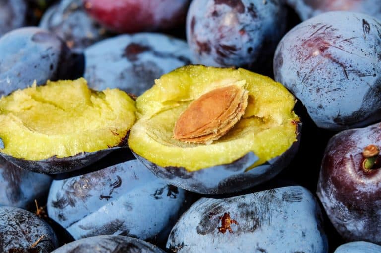 Plum Symbolism and Dream Meanings (Hope and Strength)