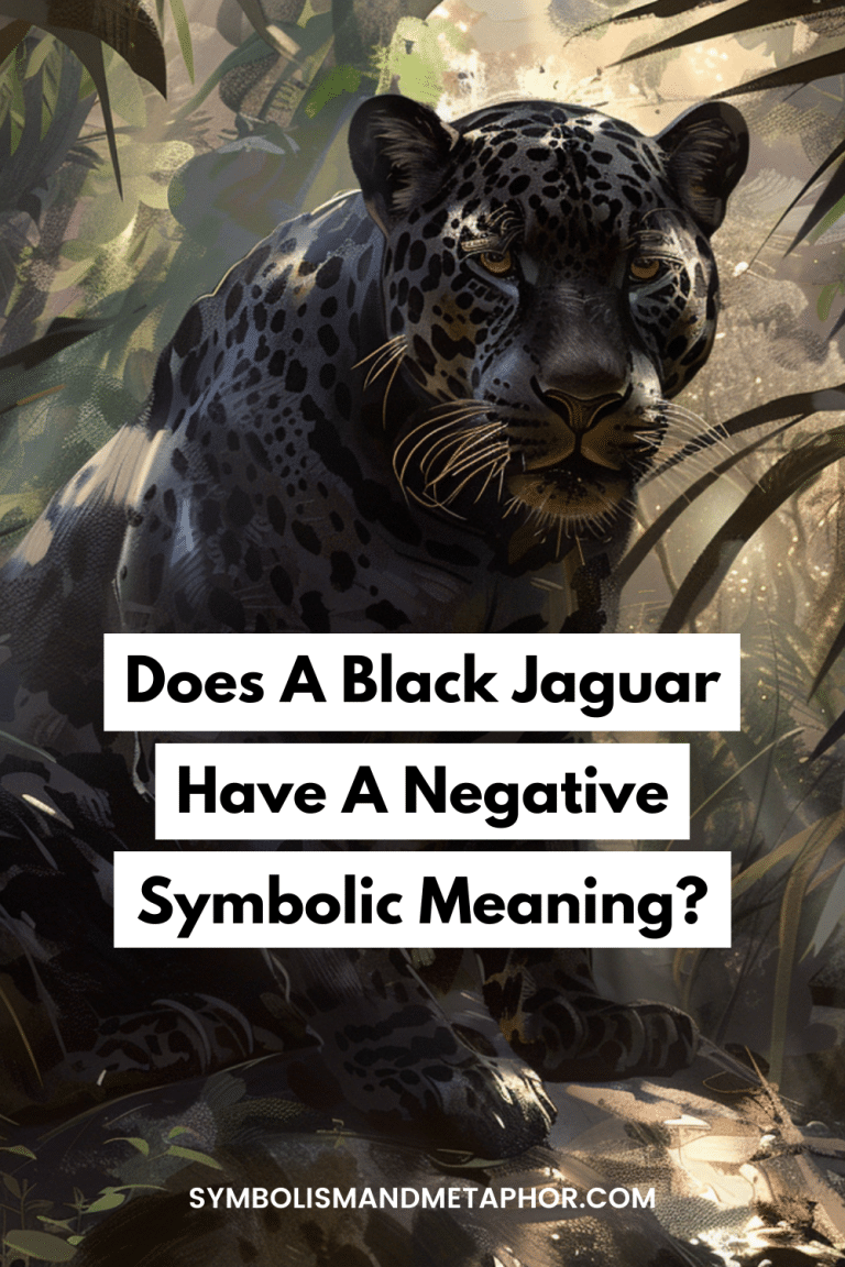 Black Jaguar Spiritual Meaning & Symbolism