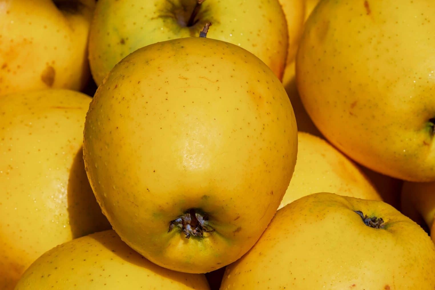 Golden Apple Meaning & Symbolism