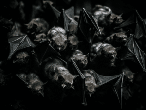 The Symbolism of Bats (7 Surprising Meanings)