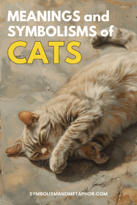 Cat Symbolism and Meanings (Femininity & Premonition)