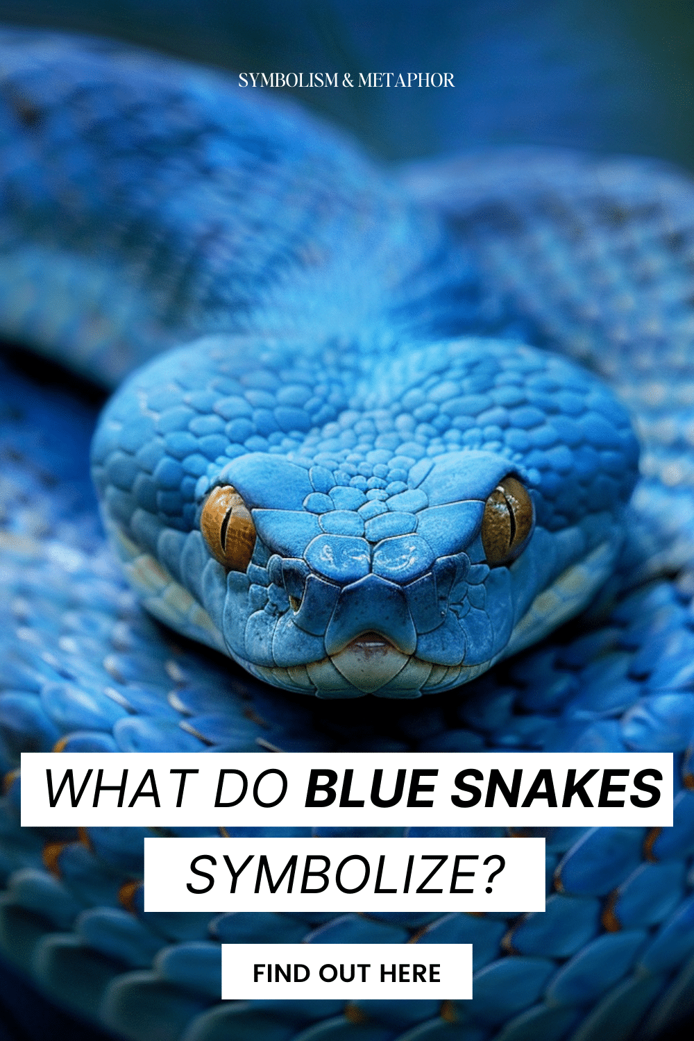 Blue Snake Spiritual Meaning and Symbolism (11 Omens)